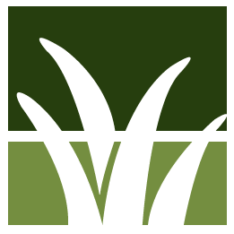 Yard Cleanup And Maintenance Pros