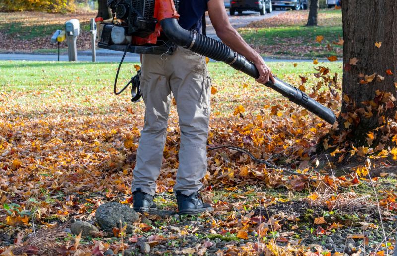 Fall Lawn Cleanup Service