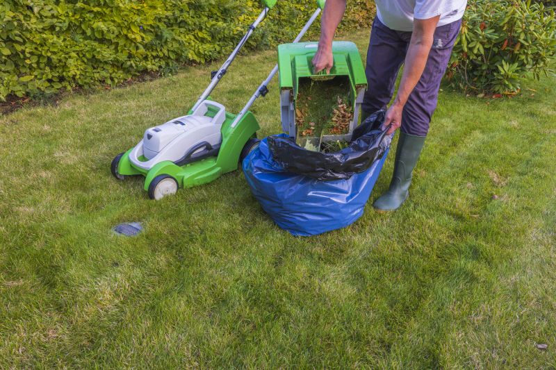 Yard Cleanup And Maintenance detail