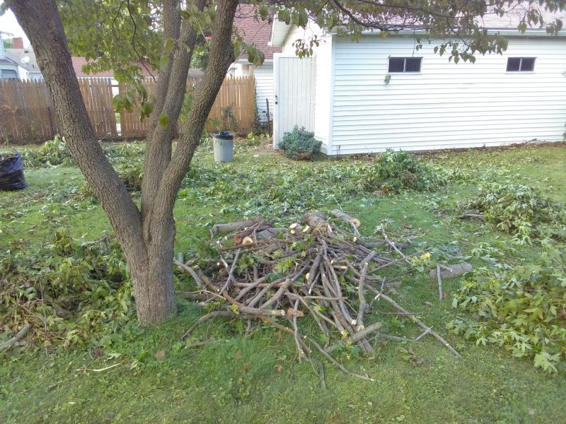 Yard Cleanup And Maintenance